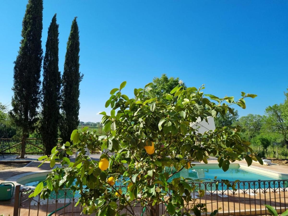 Ferienwohnung Fornace Del Conte Abbadia di Montepulciano Exterior foto