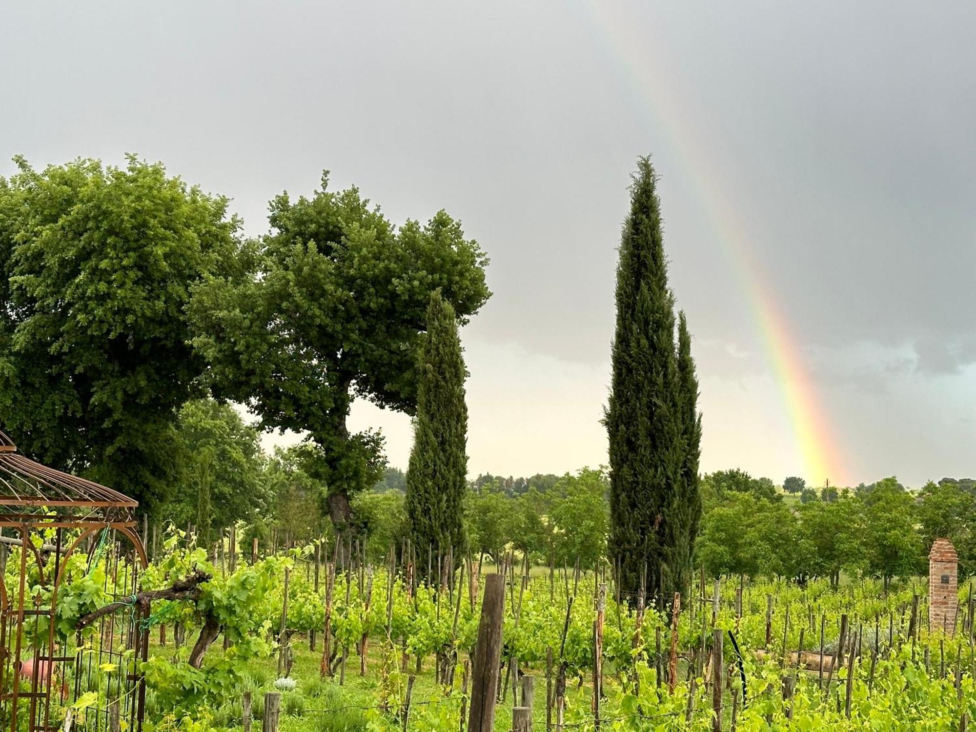 Ferienwohnung Fornace Del Conte Abbadia di Montepulciano Exterior foto