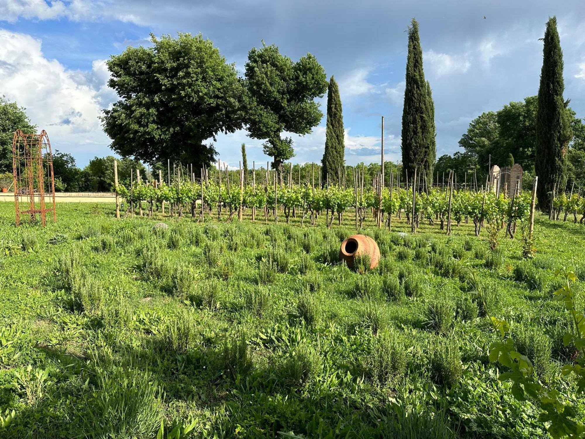 Ferienwohnung Fornace Del Conte Abbadia di Montepulciano Exterior foto