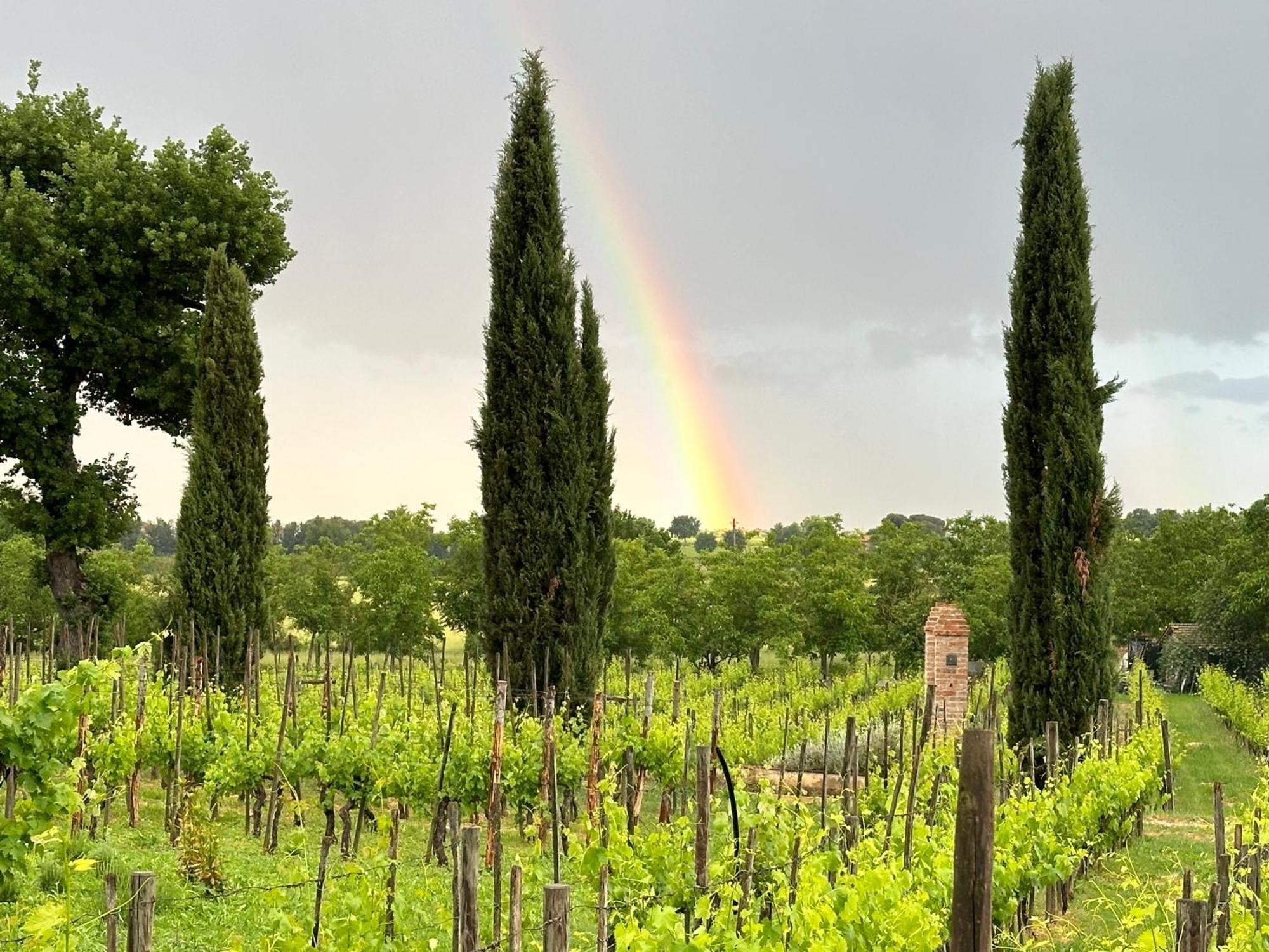 Ferienwohnung Fornace Del Conte Abbadia di Montepulciano Exterior foto